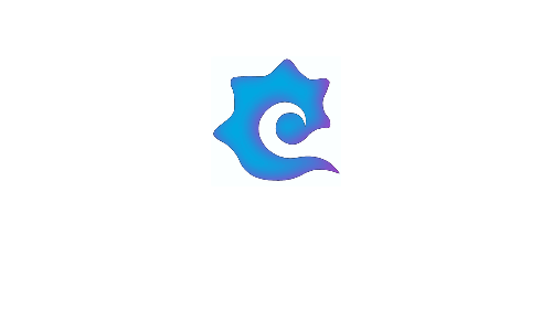 Conch Creative Photography